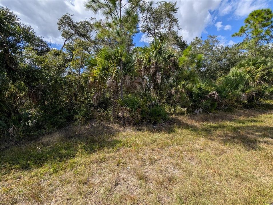 待售: $12,000 (0.23 acres)