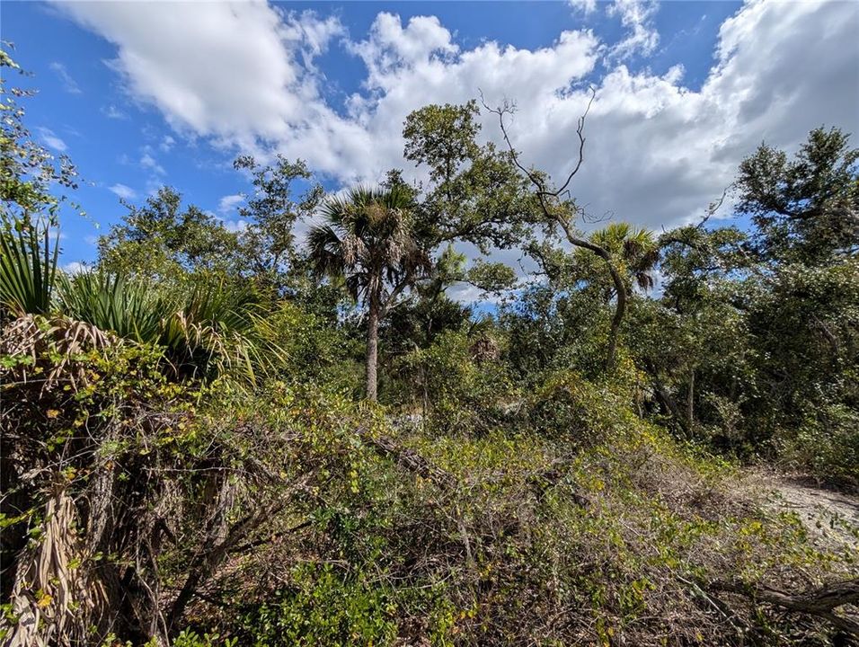 待售: $12,000 (0.23 acres)