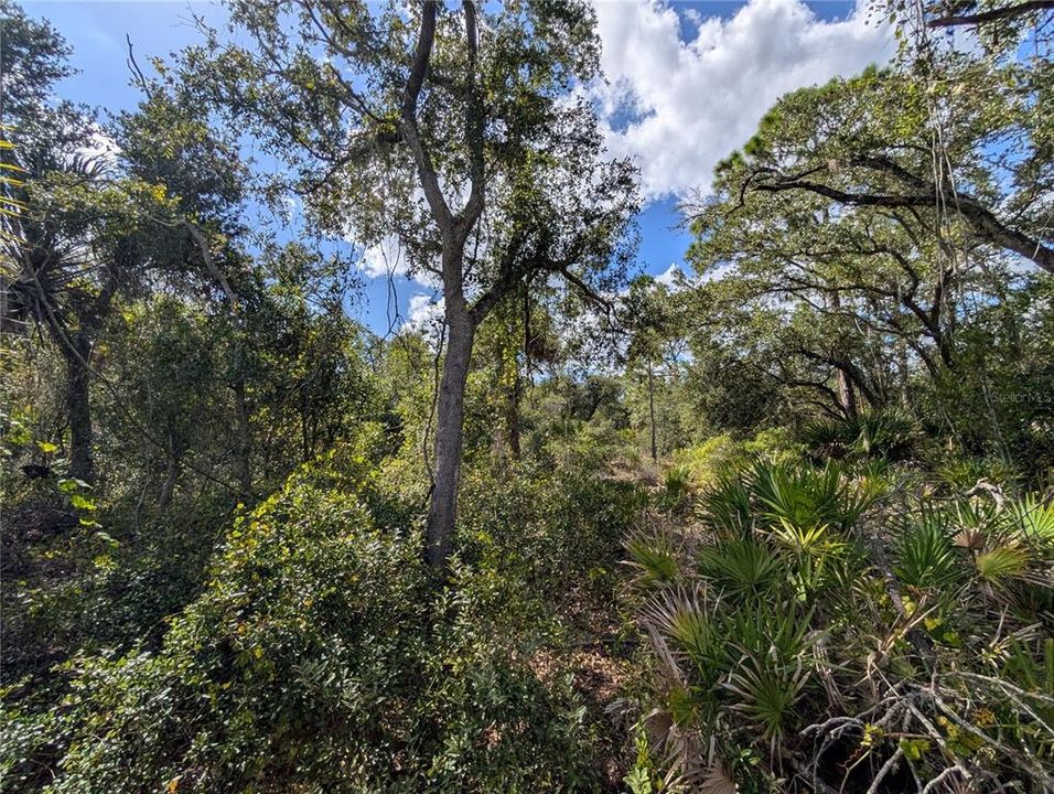 待售: $12,000 (0.23 acres)