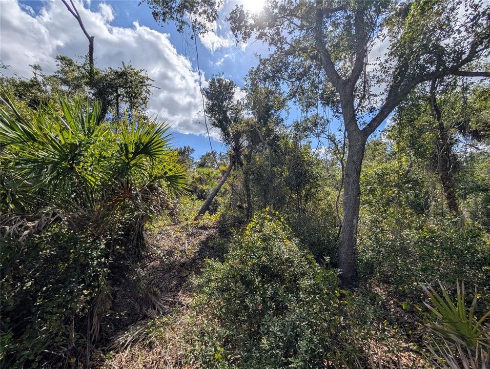 待售: $12,000 (0.23 acres)