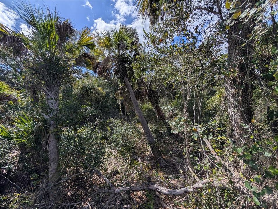 待售: $12,000 (0.23 acres)