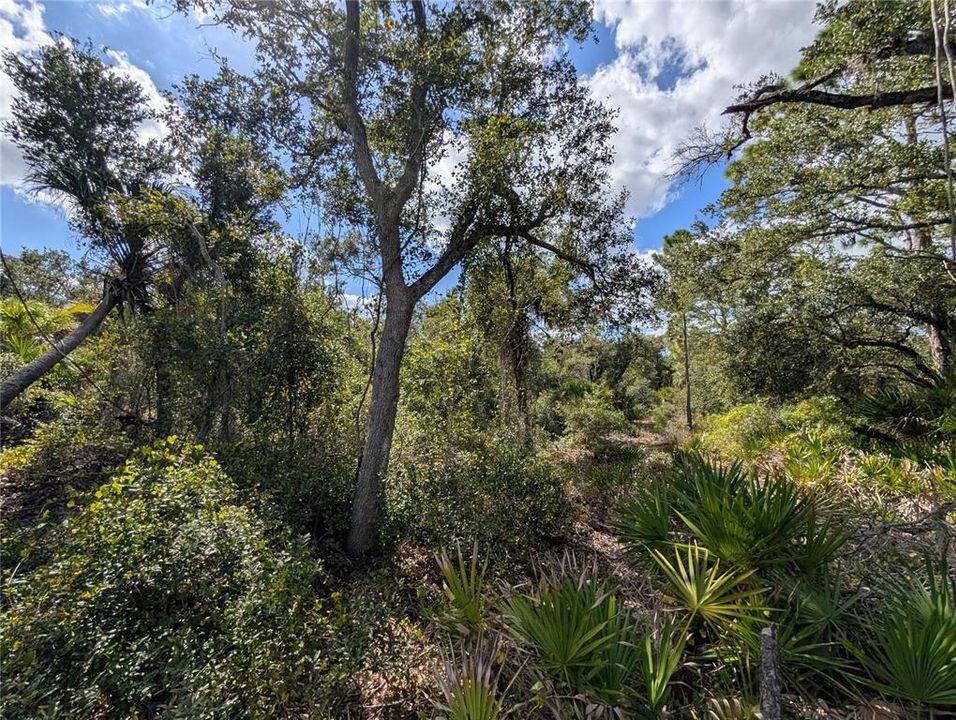 待售: $12,000 (0.23 acres)