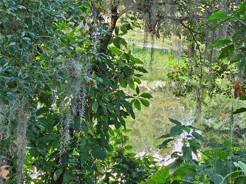 Activo con contrato: $68,267 (0.65 acres)