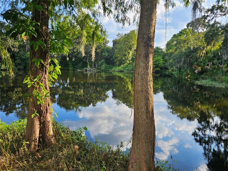 Activo con contrato: $68,267 (0.65 acres)