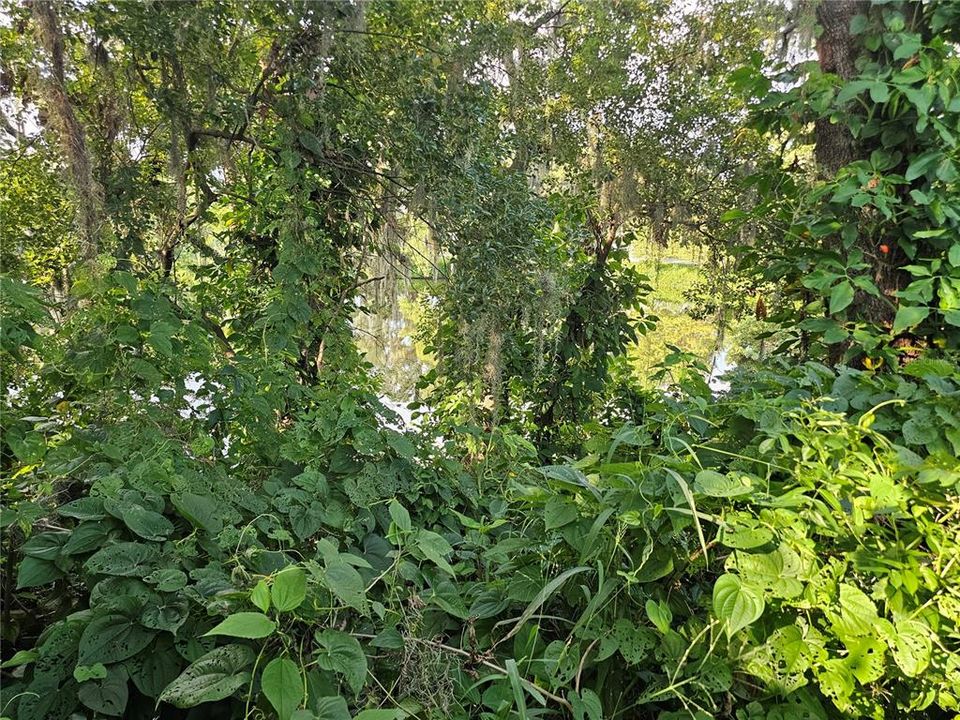 Activo con contrato: $68,267 (0.65 acres)