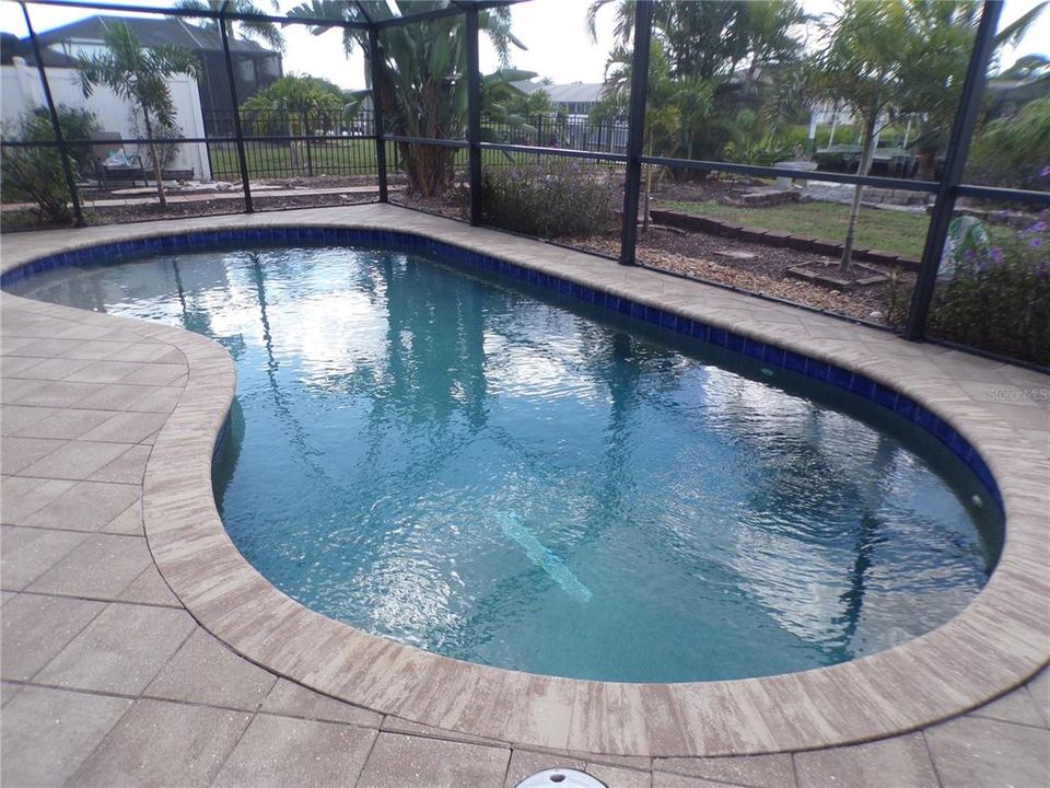 出租: $2,325 (2 贝兹, 2 浴室, 1365 平方英尺)