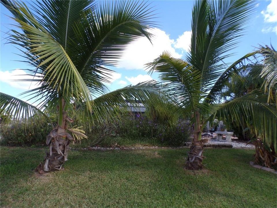 出租: $2,325 (2 贝兹, 2 浴室, 1365 平方英尺)