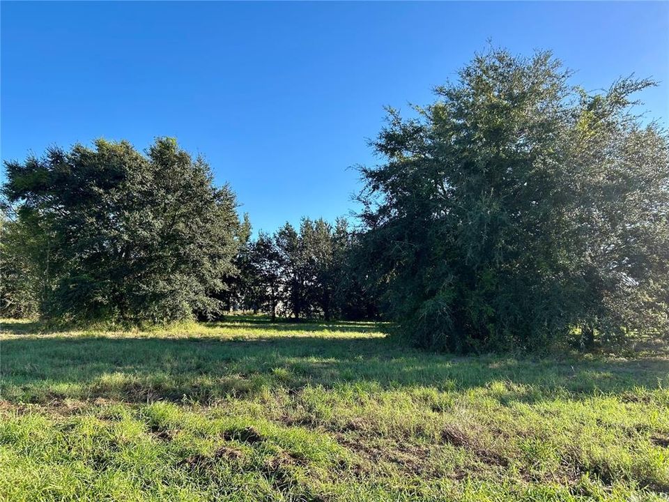 For Sale: $1,000,000 (4.27 acres)