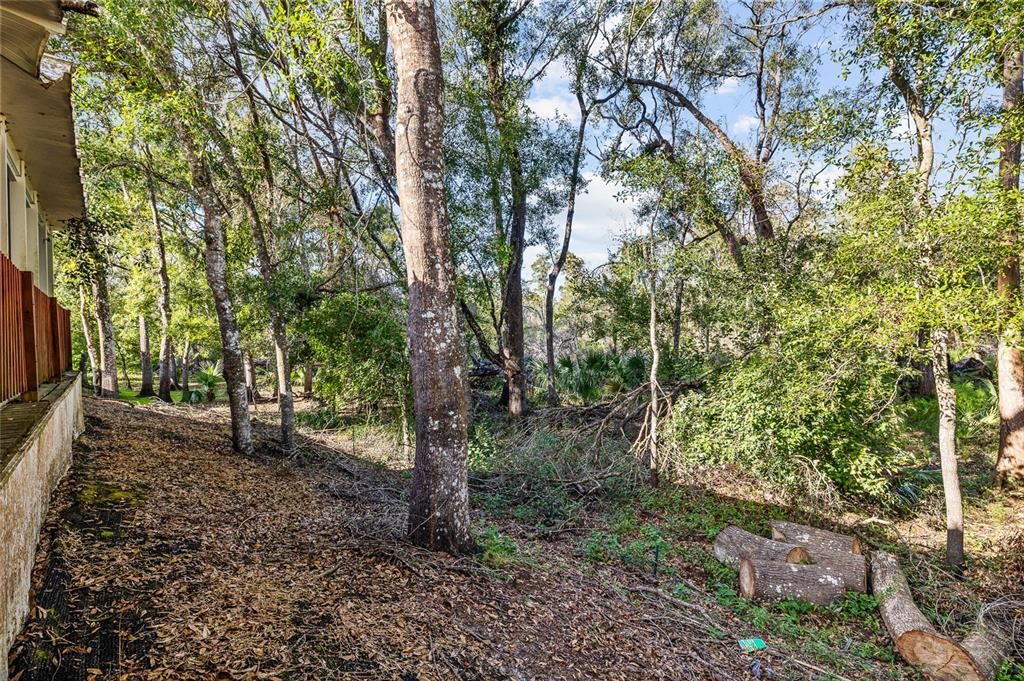 На продажу: $340,000 (3 спален, 2 ванн, 1660 Квадратных фут)