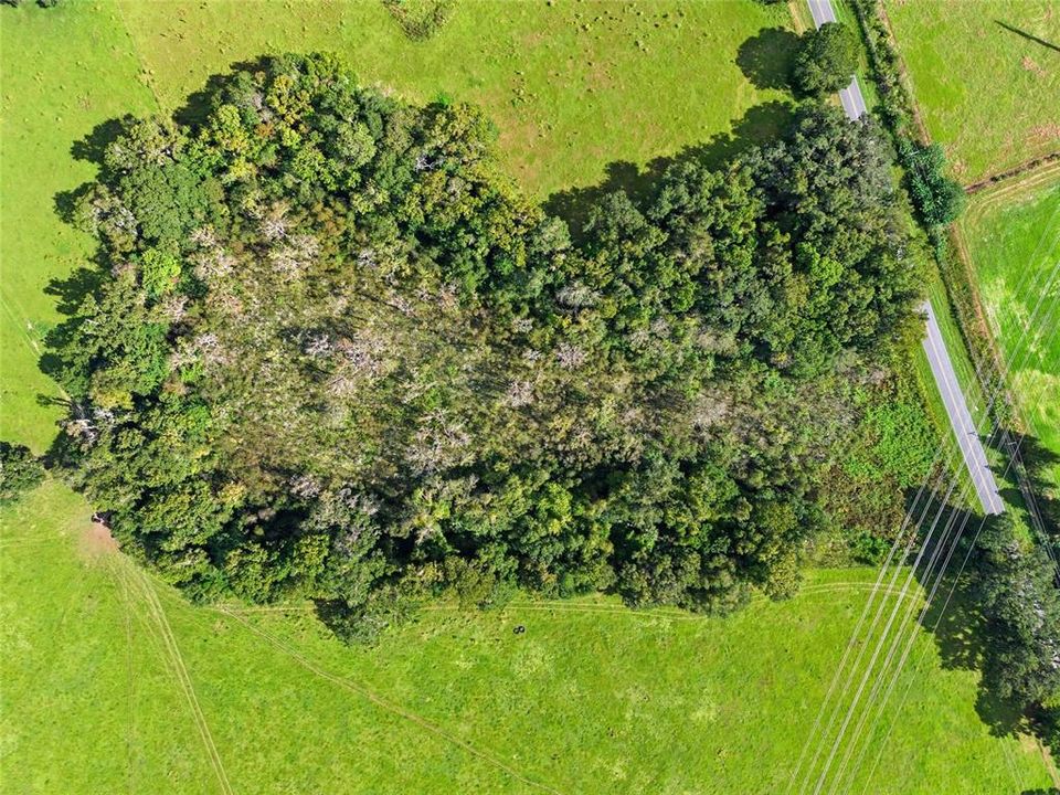 For Sale: $750,000 (34.12 acres)