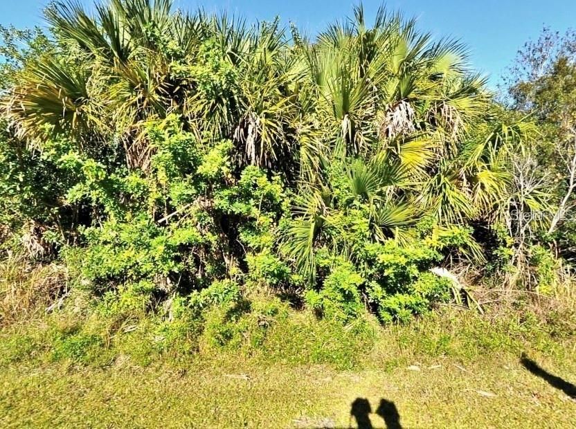 For Sale: $29,995 (0.23 acres)