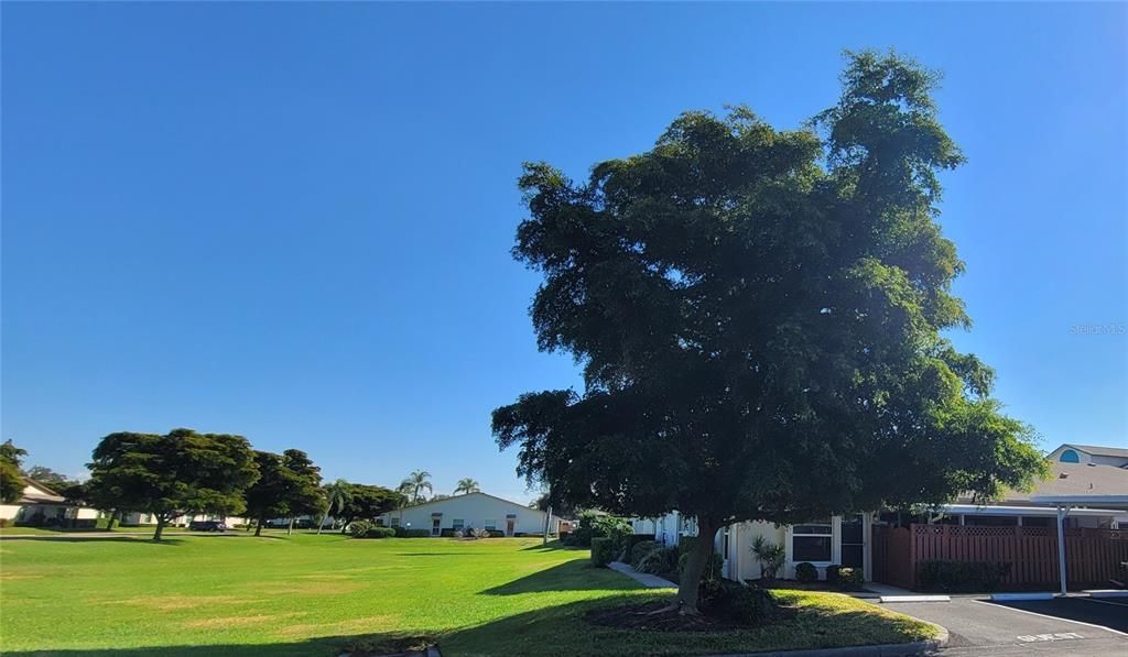 出租: $2,250 (2 贝兹, 2 浴室, 1291 平方英尺)