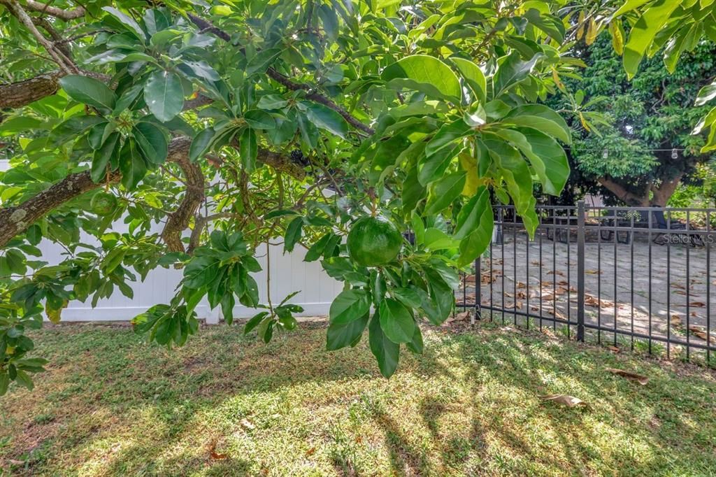 Active With Contract: $609,000 (3 beds, 2 baths, 1980 Square Feet)