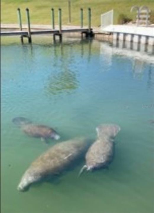 En Venta: $216,900 (2 camas, 1 baños, 816 Pies cuadrados)