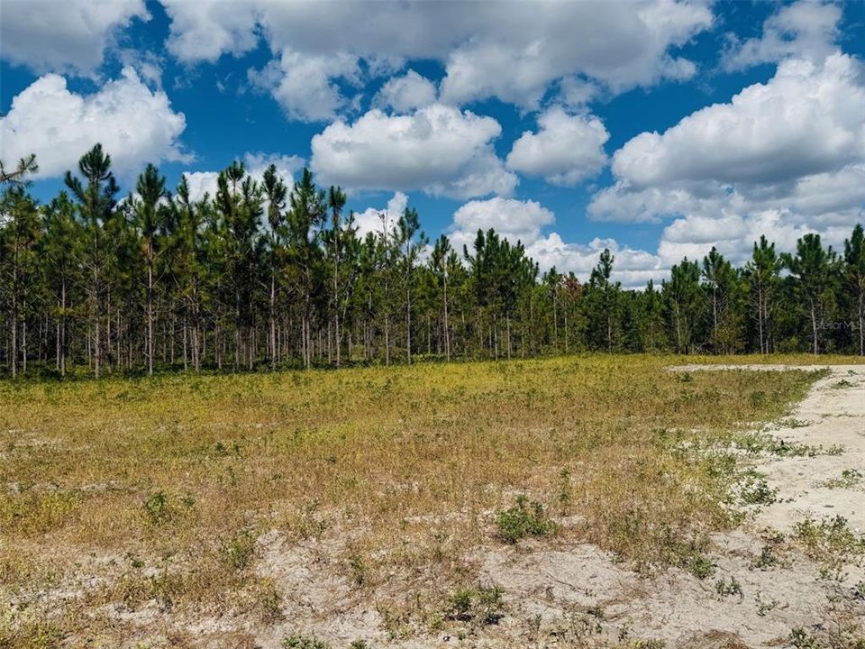 Active With Contract: $263,900 (4 beds, 2 baths, 1813 Square Feet)