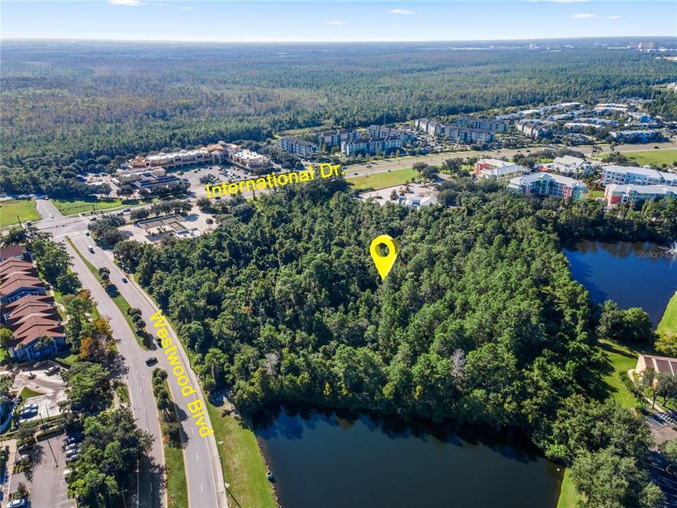 For Sale: $16,000,000 (8.72 acres)