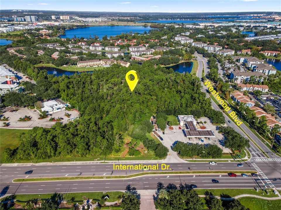 For Sale: $16,000,000 (8.72 acres)