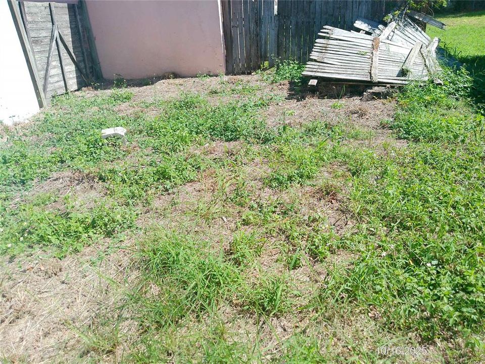 出租: $800 (1 贝兹, 1 浴室, 308 平方英尺)