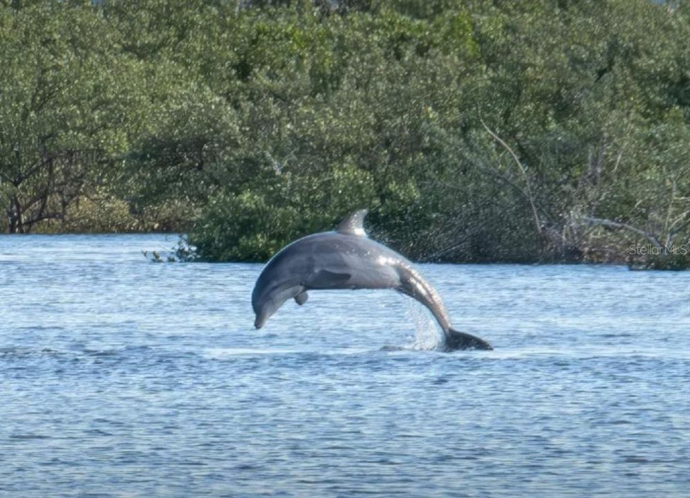 合同活跃: $459,999 (3 贝兹, 2 浴室, 1448 平方英尺)