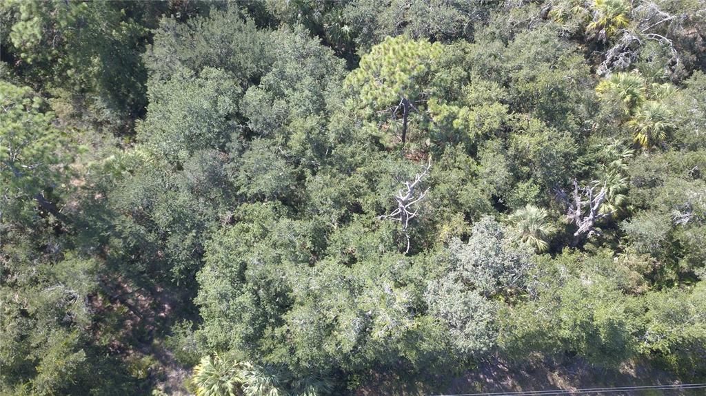 На продажу: $40,000 (1.25 acres)