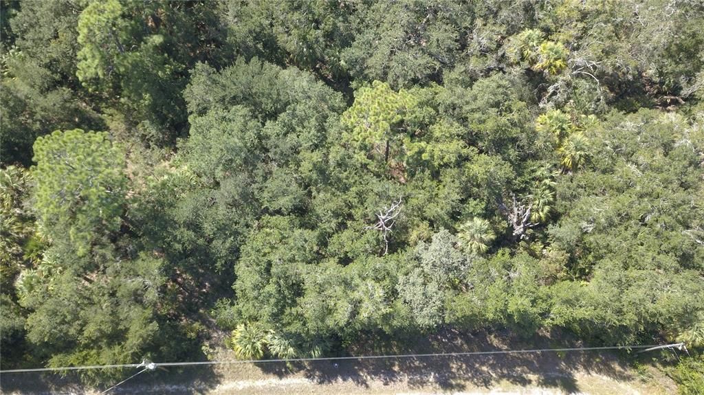 На продажу: $40,000 (1.25 acres)