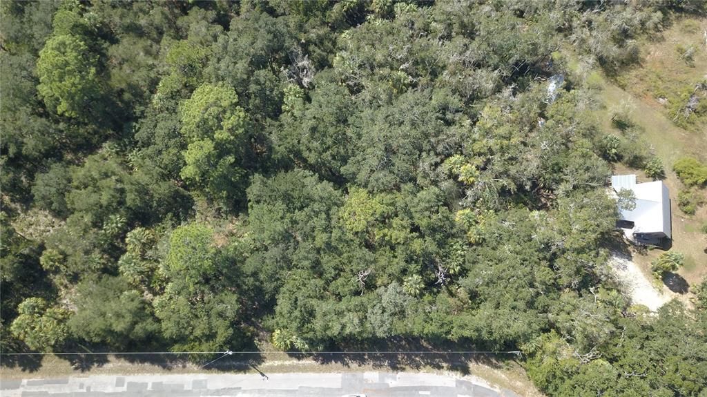 На продажу: $40,000 (1.25 acres)