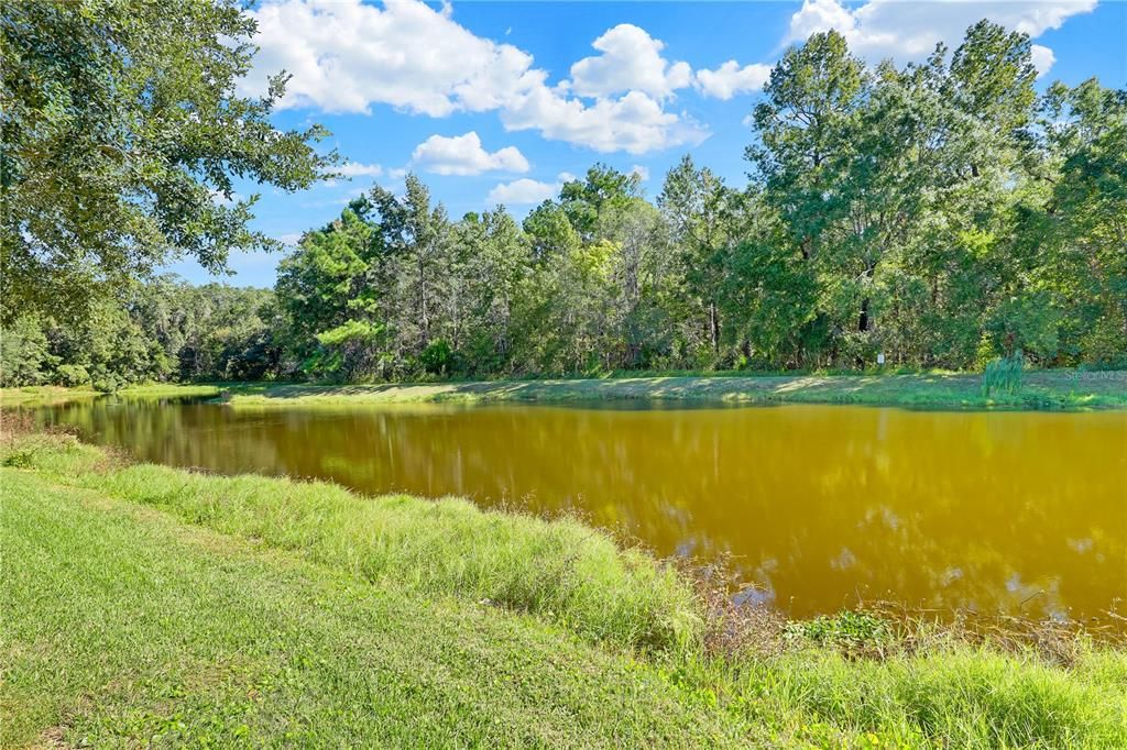 For Sale: $449,900 (5 beds, 3 baths, 3016 Square Feet)