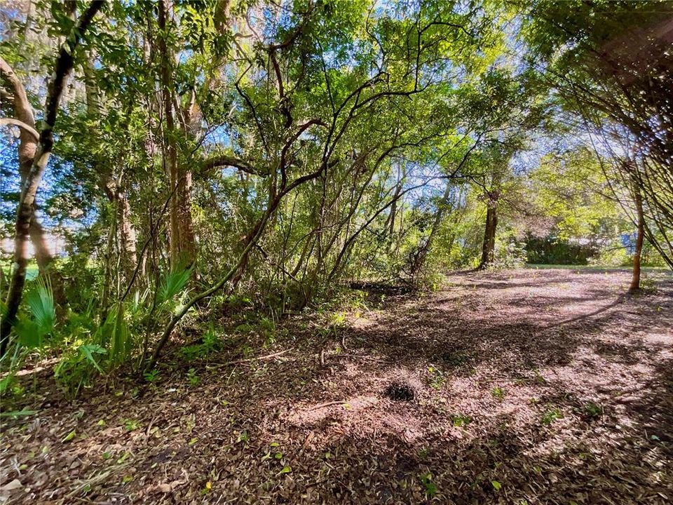 待售: $119,900 (0.63 acres)