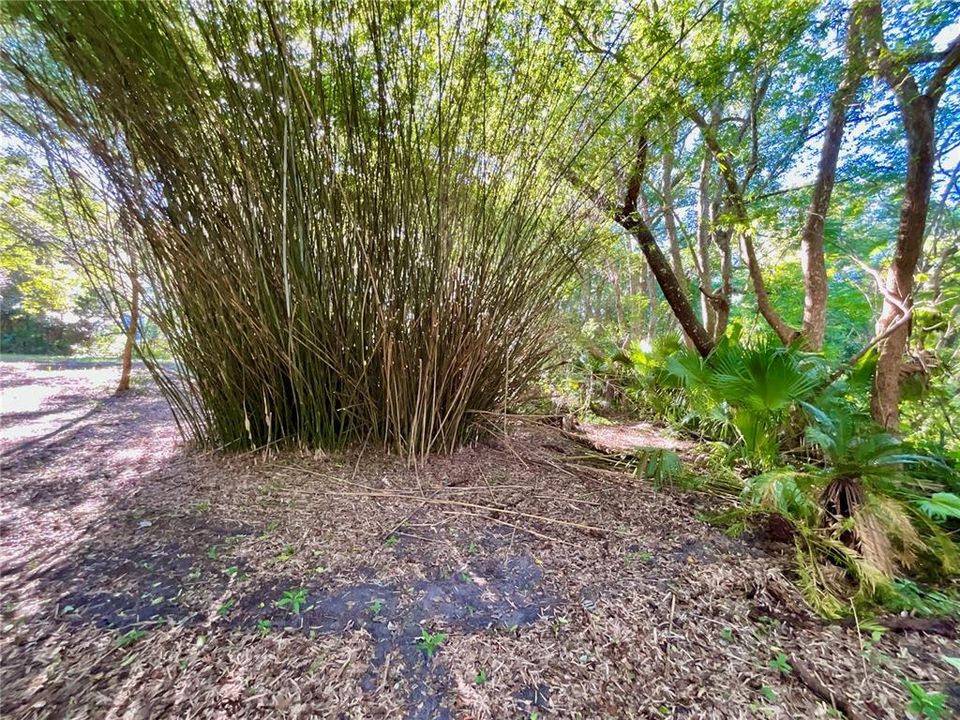 待售: $119,900 (0.63 acres)