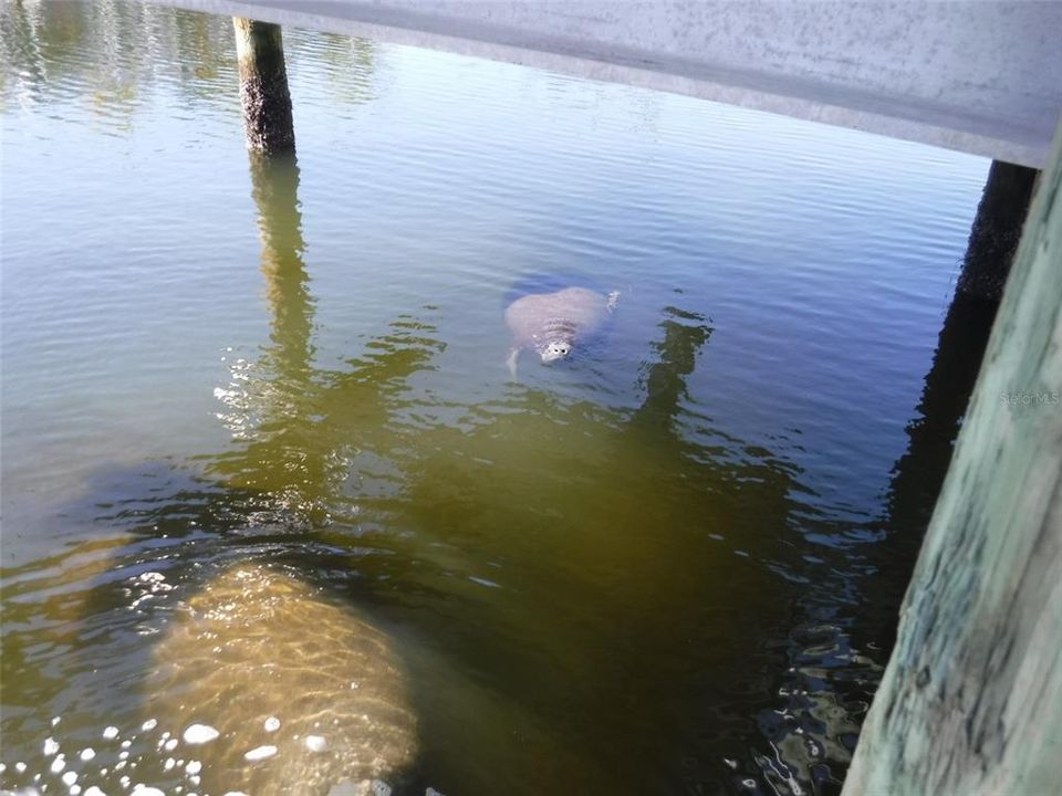 На продажу: $685,000 (2 спален, 3 ванн, 1728 Квадратных фут)