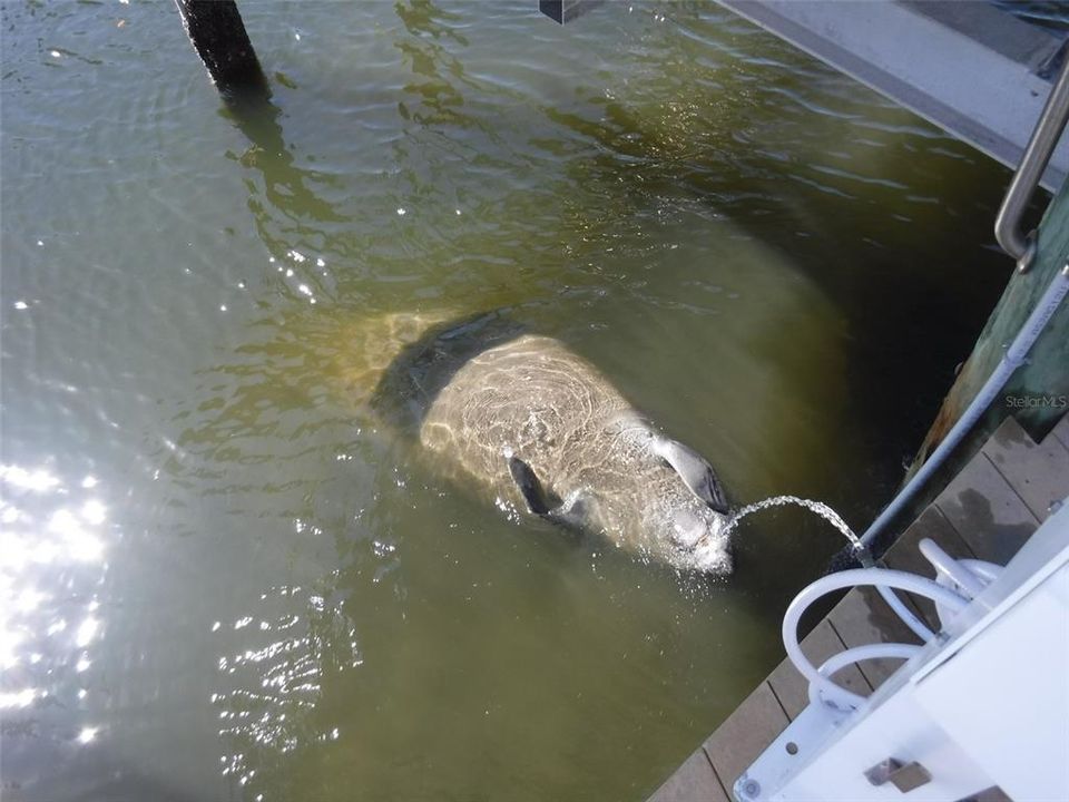 На продажу: $685,000 (2 спален, 3 ванн, 1728 Квадратных фут)