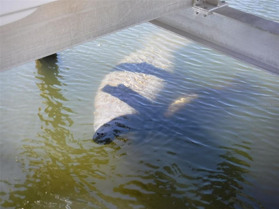 На продажу: $685,000 (2 спален, 3 ванн, 1728 Квадратных фут)