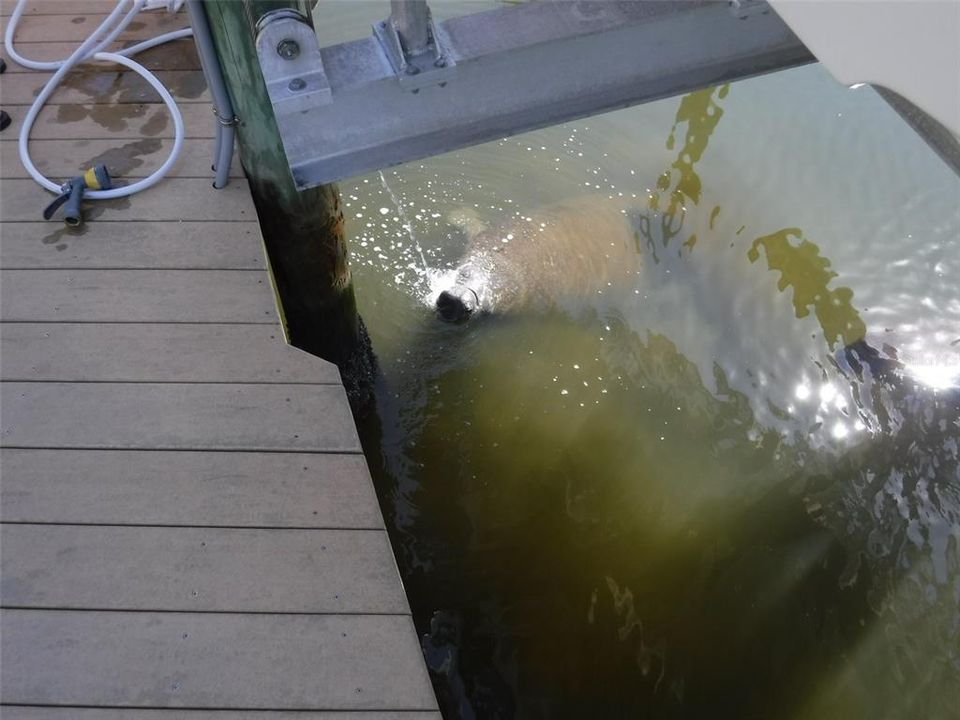 На продажу: $685,000 (2 спален, 3 ванн, 1728 Квадратных фут)