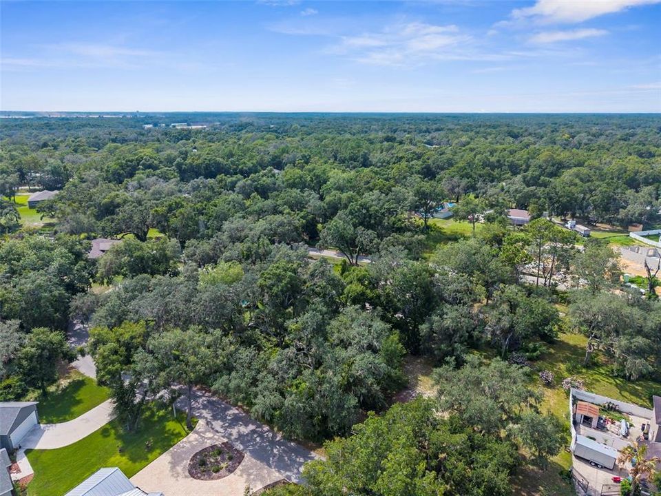 待售: $49,900 (0.30 acres)