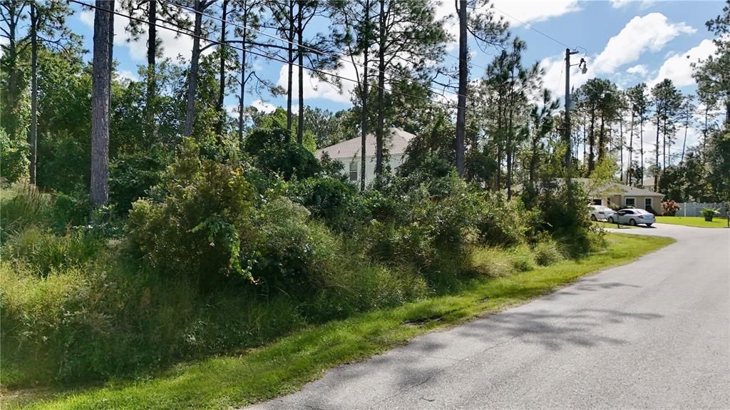 For Sale: $80,000 (0.25 acres)