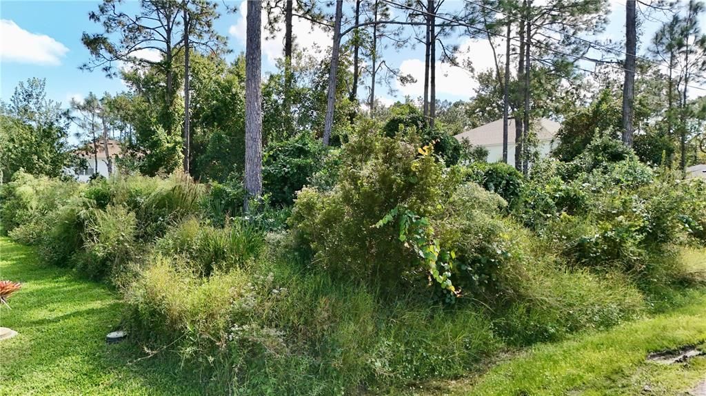 For Sale: $80,000 (0.25 acres)