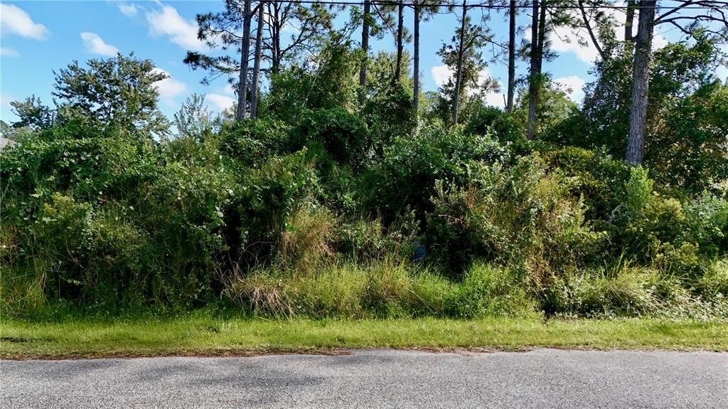 For Sale: $80,000 (0.25 acres)