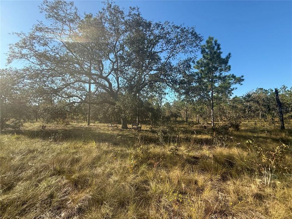 待售: $135,000 (5.00 acres)