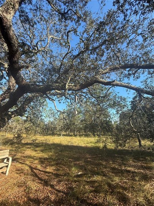 待售: $135,000 (5.00 acres)