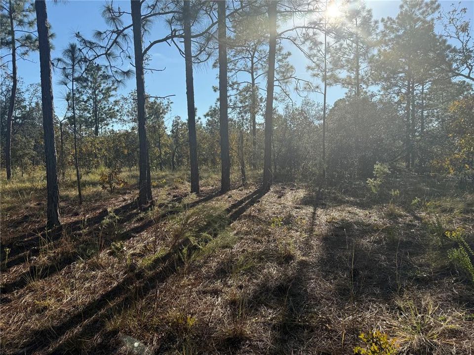 待售: $135,000 (5.00 acres)