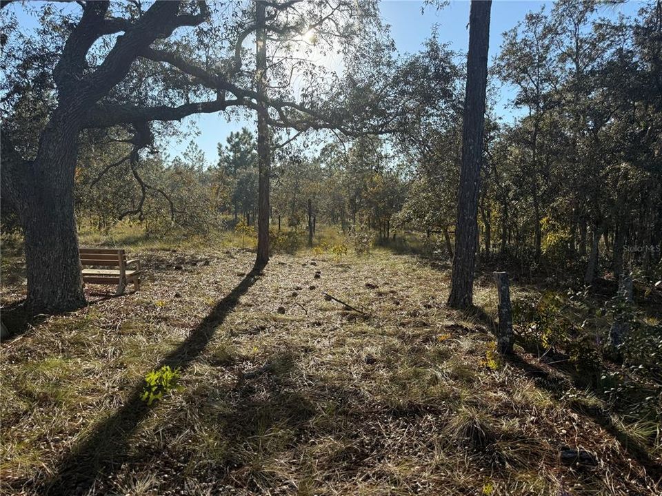 待售: $135,000 (5.00 acres)