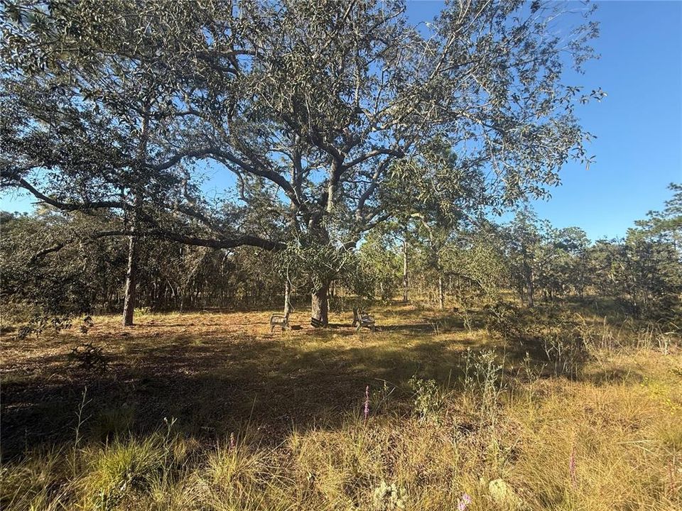 待售: $135,000 (5.00 acres)