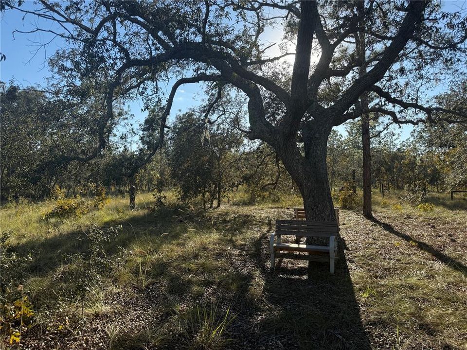 待售: $135,000 (5.00 acres)