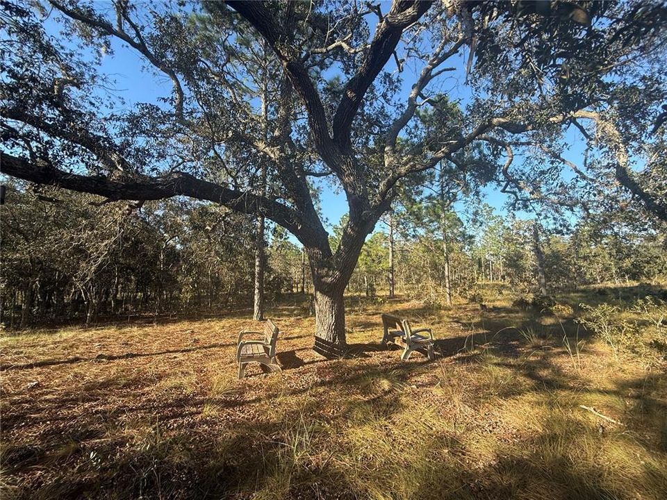 待售: $135,000 (5.00 acres)