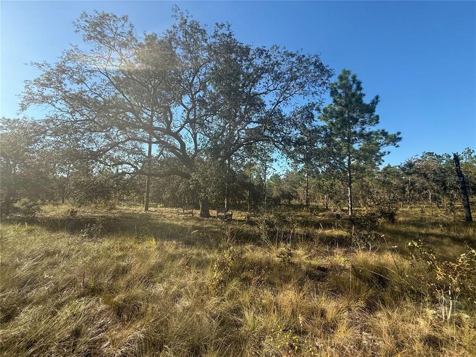 待售: $135,000 (5.00 acres)