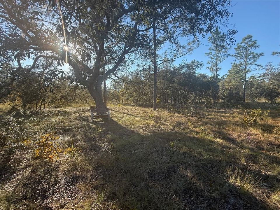 待售: $135,000 (5.00 acres)