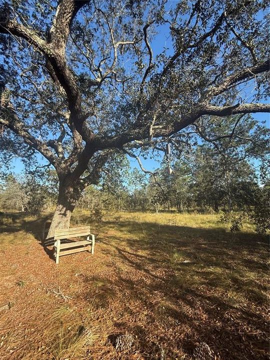 待售: $135,000 (5.00 acres)