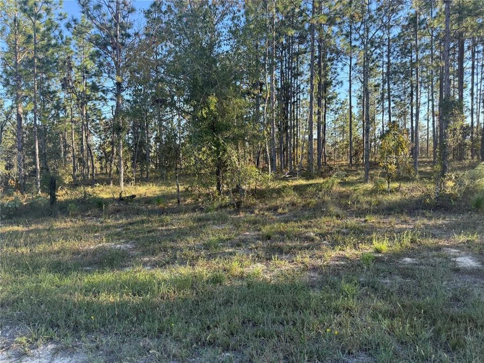 待售: $135,000 (5.00 acres)