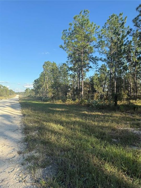 待售: $135,000 (5.00 acres)