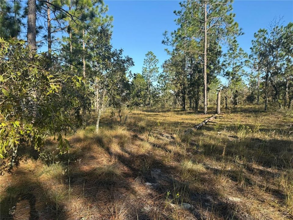 待售: $135,000 (5.00 acres)